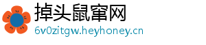 掉头鼠窜网